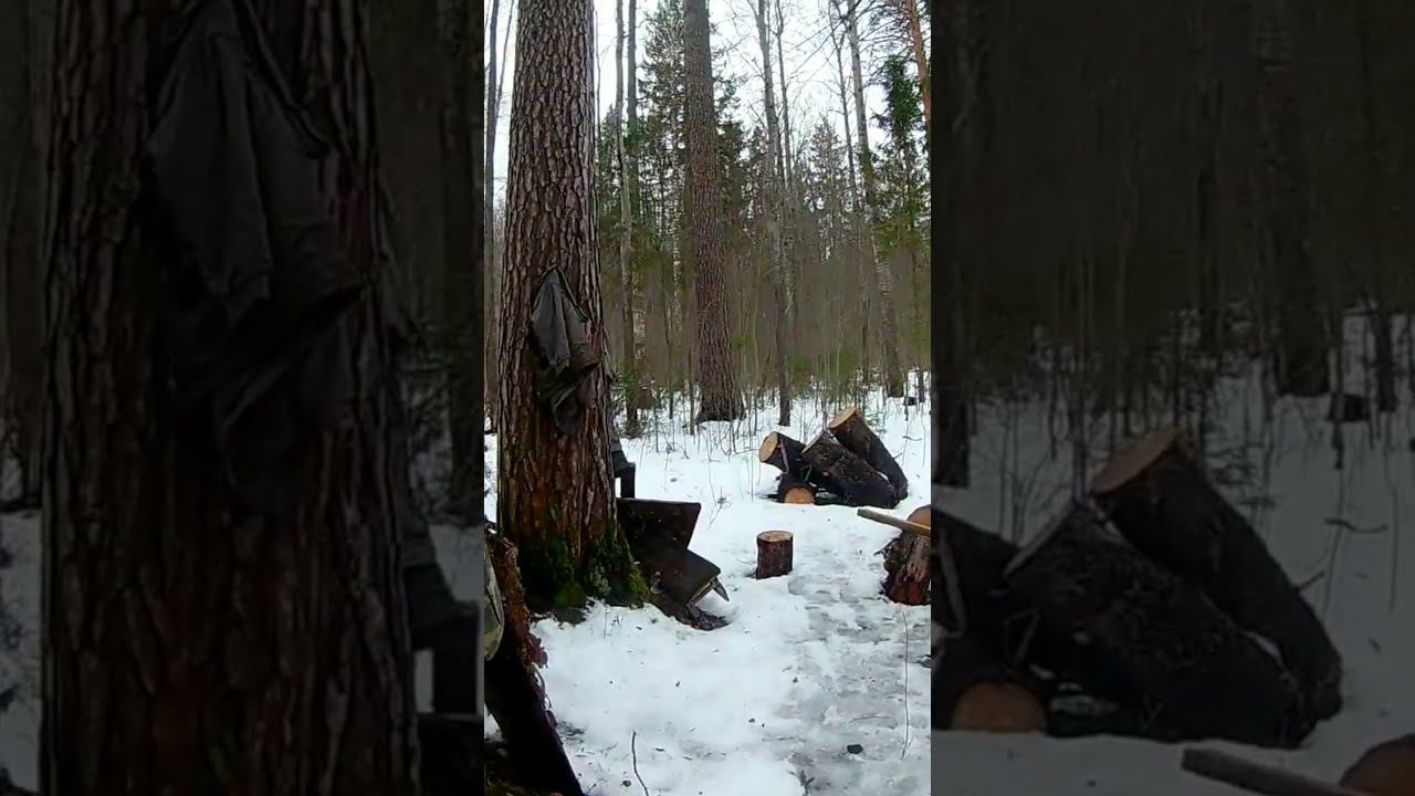 НАШЁЛ В ЛЕСУ НА РЫБАЛКЕ смотреть онлайн