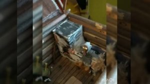 Баба-яга и ее избушка (Поделки для Детя) Папа молодец!