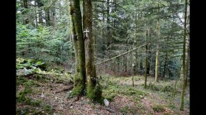 Загадочные исчезновения людей в дикой природе: Лукас Ренуд