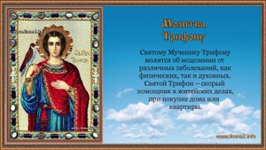 Молитва Трифону
