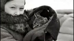 История про кота Ваську. Блокадный Ленинград.