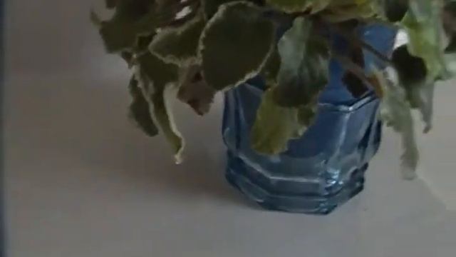 FOR SALE: My Kodak C743 Digital Camera. It's a Still and Video Camera. $59.99 смотреть онлайн