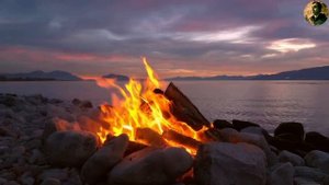 Про смену деятельности | Уход из наемной работы | РНН