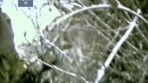 Внезапный Бой в Аргуне, Чечня, Много Погибших и Раненых, Репортаж