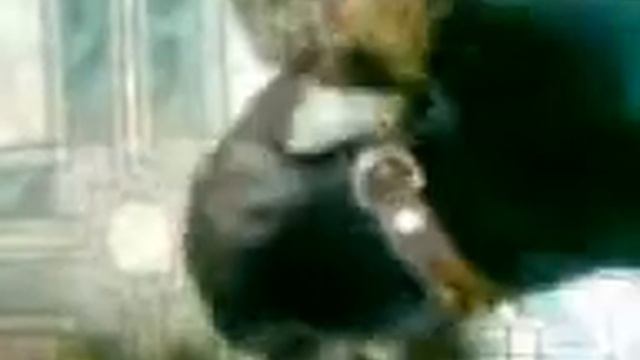 ёжик собака 3:0 смотреть онлайн