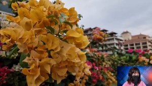 Мать-одиночка увидела, как богачка выкинула коляску на помойку. Но заглянув внутрь, Жанна оцепенела