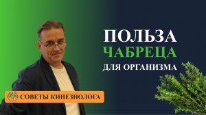 ЧАБРЕЦ ТИМЬЯН ПОЛЗУЧИЙ  Лучшие целебные травы для ПОВЫШЕНИЯ ИММУНИТЕТА  Природный иммуномодулятор