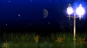 Вера Сухомлин: Есть люди - светлячки [стихи]