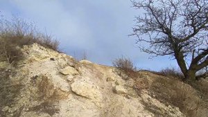 Белая скала, Крым. Опасный подъём. Лошади на скале. Красивый вид со скалы.