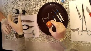 ГОМУНКУЛ Правильный рецепт выращивания