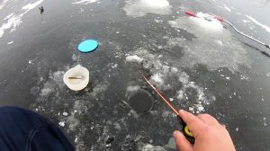 МАТЕРЫЙ РОТАН ЗАЖИГАЕТ ПОЧИЩЕ ЩУКИ! ПОЛУКИЛОГРАММОВЫЕ РОТАНЫ ГИГАНТЫ СО ЛЬДА!