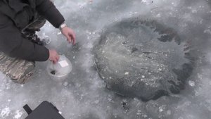 Рыбалка на оз Чередовом. Омск.