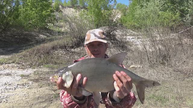 Не ЗРЯ поставил Донку в Кусты! Сезон на КОРОТКИЕ поводки ОТКРЫТ! Про ТЕЛЕСКОПЫ смотреть онлайн