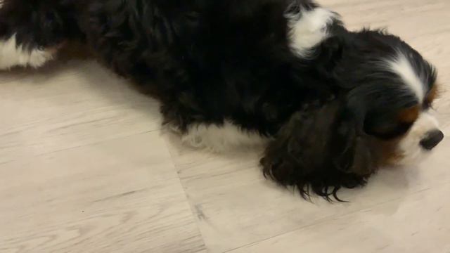 28 декабря 2022 г. смотреть онлайн