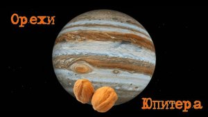 А вы знали?|Откуда у "Грецкого ореха" такое название?