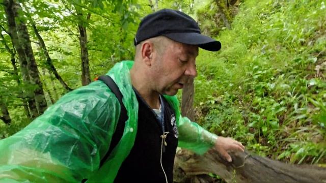 Гора Трезубец Адыгея смотреть онлайн