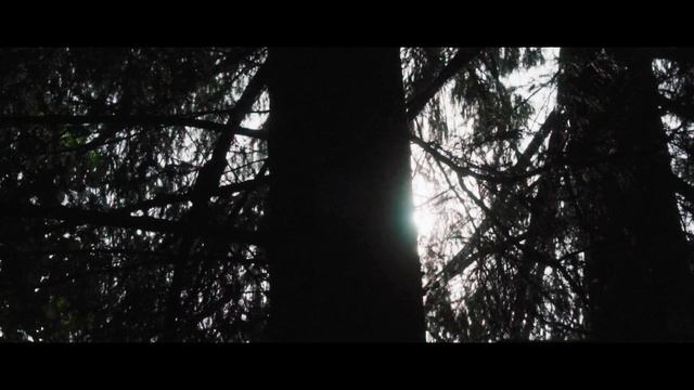 Лес, осень, природа в деревне в Подмосковье. смотреть онлайн