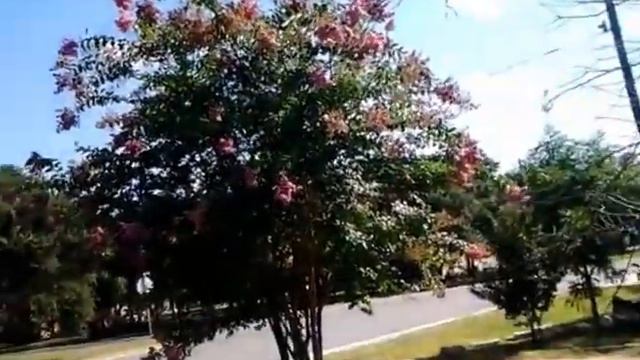 Русская Америка смотреть онлайн