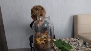 Опыт с дождевыми червями