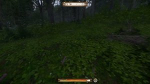 ДОСПЕХИ WARHORSE Kingdom Come: Deliverance Старая карта 1