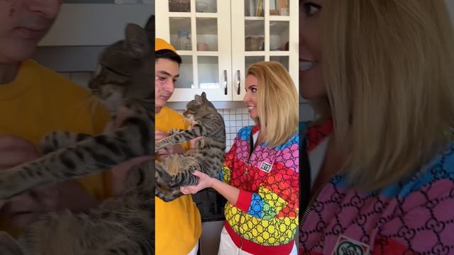Как вам мандарин?? #shorts