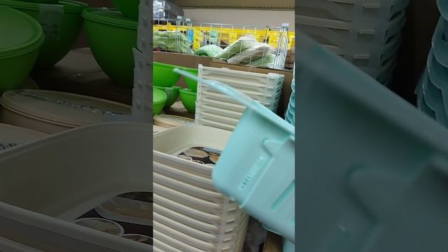 Магазин светофор ст. Суворовская #светофор #магазин #покупки #суворовская смотреть онлайн