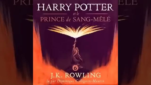 Harry Potter et le Prince de Sang Mêlé J K Rowling LIVRE AUDIO partie 1 смотреть онлайн