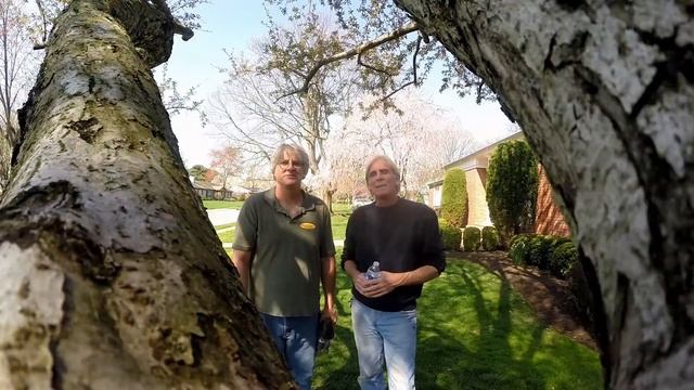 Happy Birthday How To Clean the French Drain, Downspout Drain Line смотреть онлайн