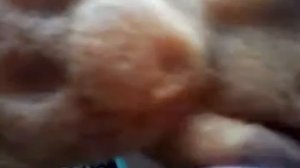 Медвежонок Барни 2