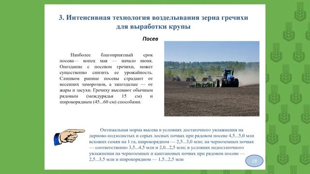10.3 Растениеводство