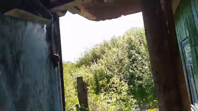 Заросший участок с домом за копейки неглядя! Теперь думаем, что и в какой последовательности делать смотреть онлайн