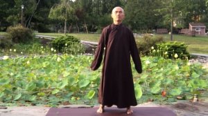 15 Minute Daily Routine Qigong Swing Hands Exercise/ Khí Công Dịch Cân Kinh