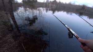 Удилище болонское телескопическое AQUA AMANDA, видео-обзор