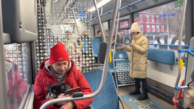 Поездка на Электробусе 791