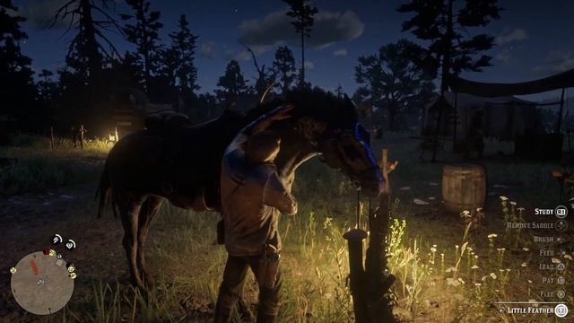 Red Dead Redemption 2 how to brush horse смотреть онлайн