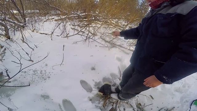 НЕВЕРОЯТНО! РУЧЕЙ ПО КОЛЕНО А РЫБЫ ПОЛНО!!! В ТАЙГЕ ИЩЕМ КРУПНЯК ! РЫБАЛКА НА ХАРИУСА
