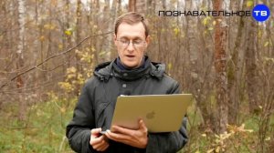 Неудобная история: Невозможная царь-ванна (Познавательное ТВ, Артём Войтенков)