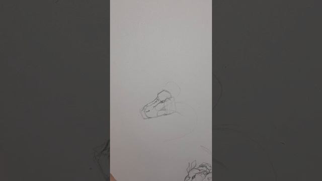 Как нарисовать Дракона 1