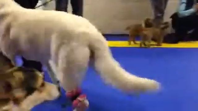 Утяжелители смотреть онлайн