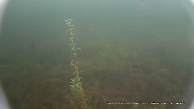 Подводная камера. Рамада 5 метров. смотреть онлайн