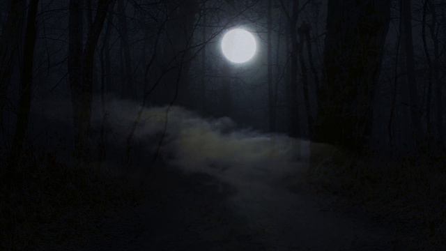 Dark Forest Sounds | [1hr.] Fantasy Soundscape | Haunted D&D Ambience