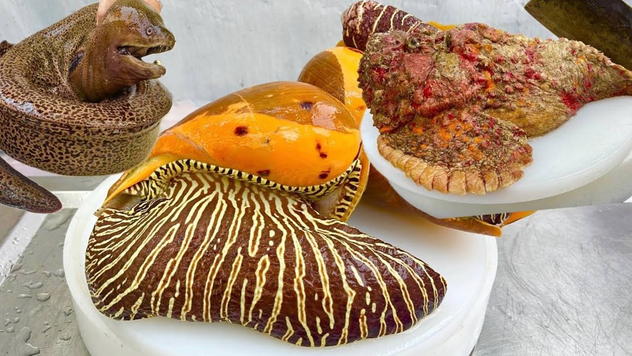 50 лучших рецептов из морепродуктов. Креветки, крабы, рыба, улитки. От Vn Chef.