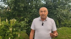 ДЕЙСТВУЮТ ЛИ НАШИ ПРАВА В ТУРЦИИ? КАК ПОЛУЧИТЬ МЕЖДУНАРОДНЫЕ ПРАВА?