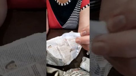 Сасевиерии из Индонезии.Любовь Скороходова.