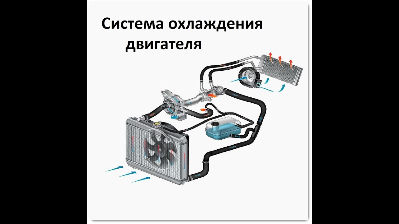 Из чего состоит система охлаждения двигателя автомобиля и как она работает?