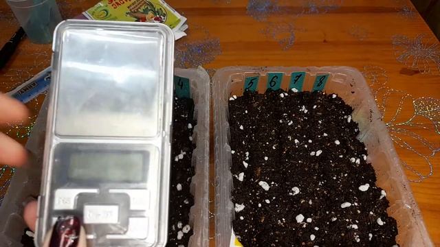 Сею "Эустому ".серия "Эхо " ??? смотреть онлайн