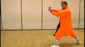 Шаг 25 30 боевые искусства Шаолиня Кунг Фу Шаолинь