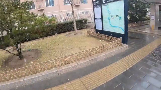 Buying an Ibanez JEM 777 Guitar in Beijing, China VLOG смотреть онлайн