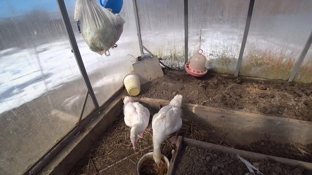 8 МАРТА и мы, конечно же, в НЕФТЕГОРСКЕ. Дом на юге смотреть онлайн