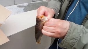 Обзор посылки магазин УЛОВ РЫБАКОВ из Астрахани .